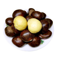 high quality hebei kuancheng chestnut